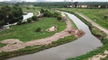 Malezya, Penang 'daki Malezya köyü yakınlarındaki ineklerin başında kargalar uçar..