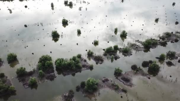 Отражательные водно-болотные угодья в Бату-Каване, Пенанг, Малайзия . — стоковое видео