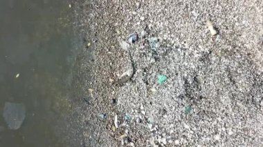 Kertenkelenin çöpün yanına tırmanmasını izle.