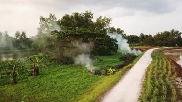 Open fire by farmer at rural area. — Stock Video