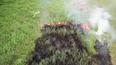 Malezya kırsal kesiminde çalı yangını.