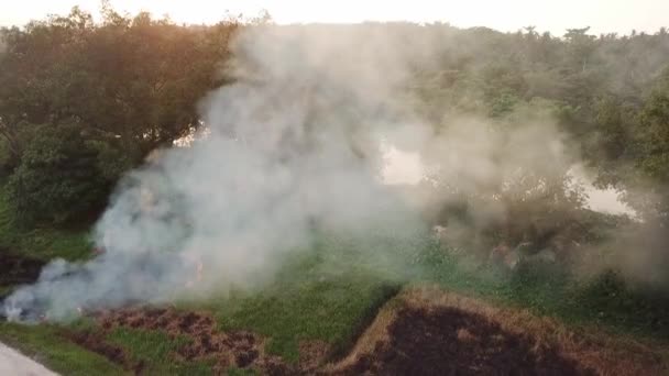 Brûlage au champ vert pendant l'heure du coucher du soleil .