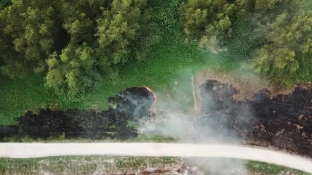 Horní pohled hořící zelená tráva na poli v Malajsii, jihovýchodní Asie. — Stock video