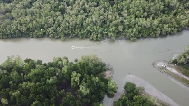 Luchtfoto boot steek het mangrove bos met vogel vliegen over. — Stockvideo