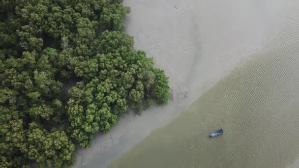 Top vista barco de pesca estancia en el río cerca de bosque de manglares . — Vídeos de Stock