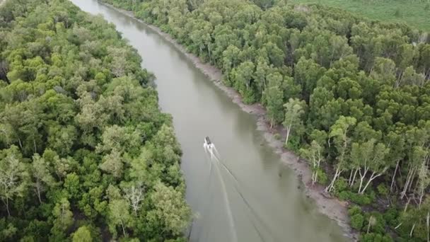 Vista aérea barco de pesca se mueven en el bosque de manglares . — Vídeo de stock