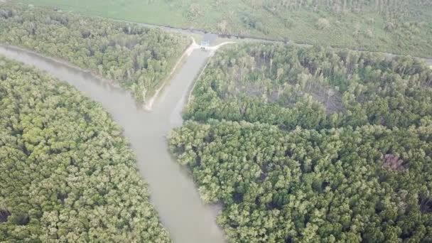 공중에서 본 맹그로브 숲 과 강, 말레이시아 페낭의 바투 카완. — 비디오
