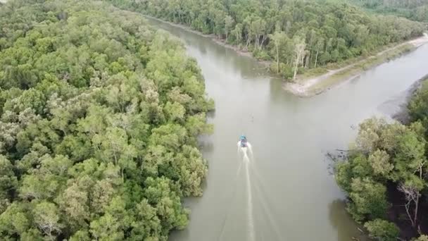 Flygfoto fiskebåt rör sig mot mangrove skog. — Stockvideo