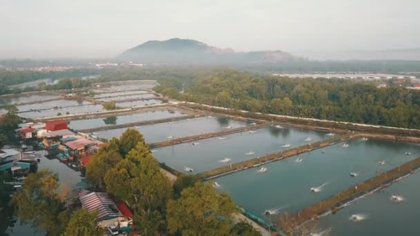 Ferme piscicole Bukit Tambun avec stade Batu Kawan en arrière-plan . — Video