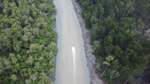 Luchtfoto volgen boot in de rivier bij Mangrove moeras. — Stockvideo