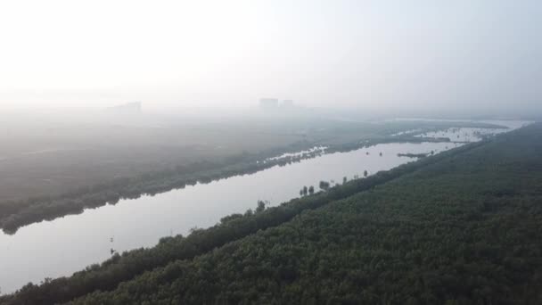 Letecký pohled mangrovníky a odlesňování v Batu Kawan, Penang, Malajsie. — Stock video