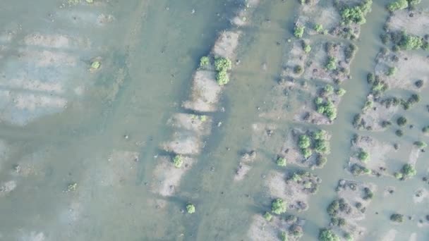 Luchtfoto wetlands bij Batu Kawan, Penang. — Stockvideo