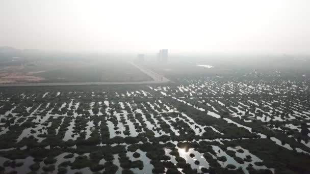 Aerial view wetlands and the development of city Batu Kawan, Penang, Malaysia. — 图库视频影像