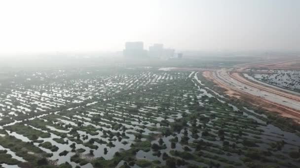 Ontwikkeling van Batu Kawan stad op wetland. — Stockvideo