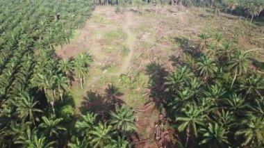 Hava görüntüleme alanı temizleniyor.