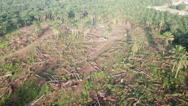 Vedação aérea de drones terra clara para plantação . — Vídeo de Stock