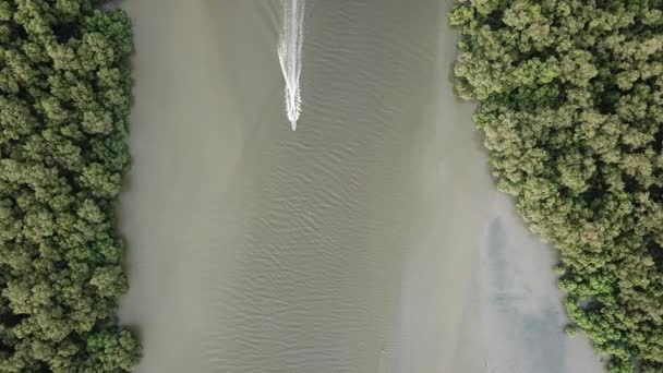 Αλιευτικό σκάφος πετούν πάνω από το ποτάμι που περιβάλλεται από δέντρα μαγκρόβια. — Αρχείο Βίντεο