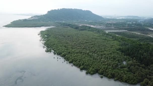 Aerial mangrove trees at Kuala Juru, Malasia, Southeast Asia . — Vídeo de stock