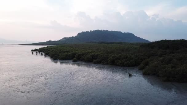 Vlieg naar mangrovebomen vanaf zee. — Stockvideo