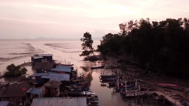 Лети до самотнього мангрового дерева в Сунгай Семіланг, Пенанг.. — стокове відео
