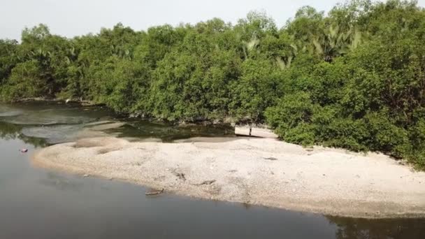 Ασιατικό νερό παρακολούθησης αναζήτηση τροφίμων κοντά όχθη του ποταμού. — Αρχείο Βίντεο