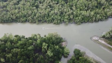 Mangrov ormanını kuşlarla geçen hava manzaralı tekne Batu Kawan, Penang, Malezya üzerinden uçuyor..