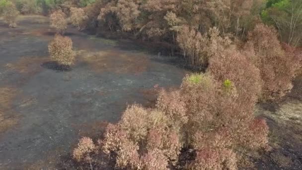 Selva seca devido a desastre de incêndio na aldeia do Sudeste Asiático . — Vídeo de Stock