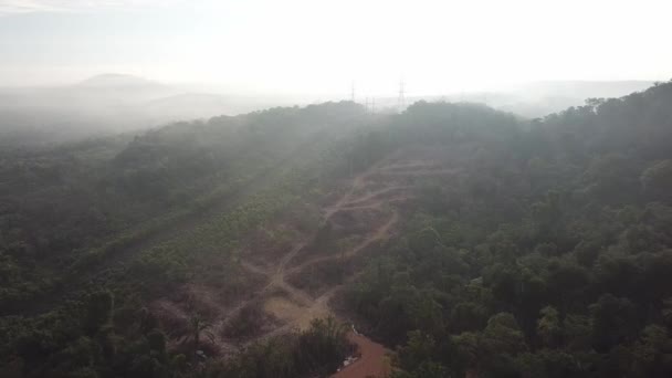 Ontbossing van het bos in mistige ochtend in Maleisië. — Stockvideo