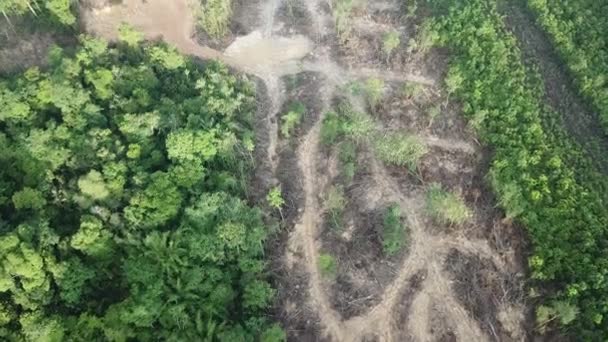 Mark klar för övergång till annan plantering. — Stockvideo