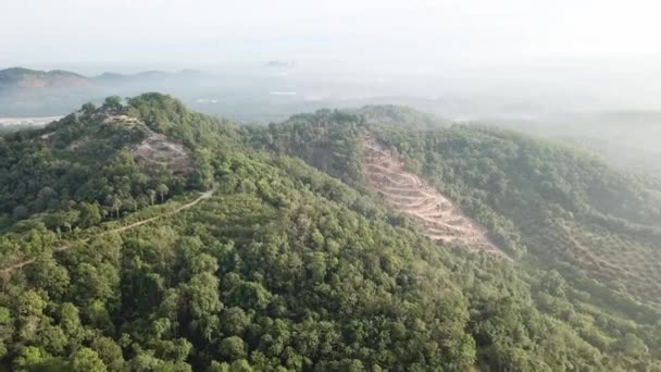 Uitzicht vanuit de lucht op land in Maleisië. — Stockvideo