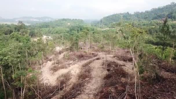 Vista aérea a clareira da árvore na colina na Malásia . — Vídeo de Stock