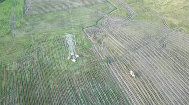 Hava aracı görüntüsü elektrik kulesinin yakınındaki alanda olgun makine hasat ediyor..