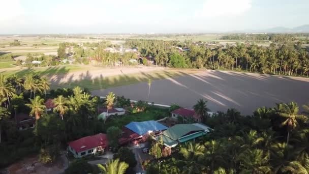 페낭, 페냐 가에 있는 논에서 말레이인 마을을 넘어 날아가다. — 비디오