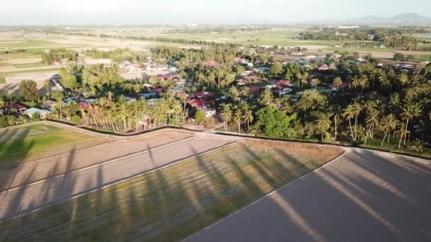 Flygfoto Malaysia Malajiska byn nära den torra paddyfältet. — Stockvideo