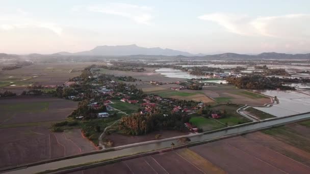 Vista aérea Malaios kampung no campo paddy durante o pôr do sol hora . — Vídeo de Stock