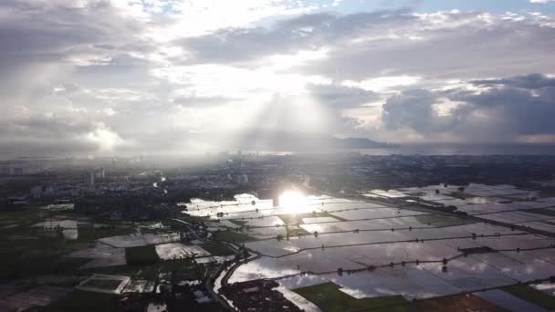 Vacker solstråle över reflektion i översvämmade Paddy fält. — Stockvideo