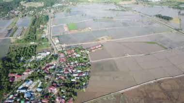 Penang 'daki çeltik tarlası yakınlarındaki Malays kampung köyünün hava görüntüsü..