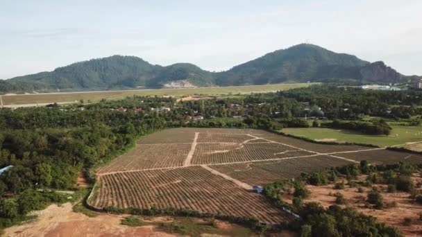 Flygfoto plantage nära Mnegkuang Dam, Penang, Malaysia. — Stockvideo