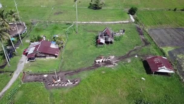 시골 마을 근처에 있는 캄 풍 하우스와 소농장 위를 날아 다닌다. — 비디오