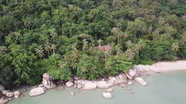 Aerea orbitante casa in legno vicino piantagione di cocco accanto costiera . — Video Stock