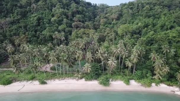 Vista aerea alberi di cocco sulla riva del mare a Permatang Damar Laut . — Video Stock