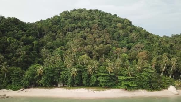 Aerea costiera con cocco e foresta vicino a Permatang Damar Laut . — Video Stock