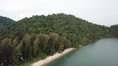Penang sahilindeki yağmur ormanlarının havadan görünüşü.