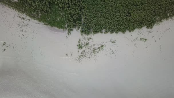 Luchtkusten met mangrovebos. — Stockvideo