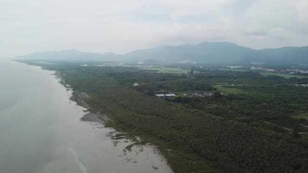 Letecký mangrovníkový les poblíž venkovského kampungu se nachází v Balik Pulau, Penang.