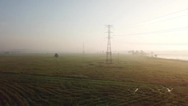 Воздушный полет к электрической башне на рисовом поле во время утреннего тумана — стоковое видео