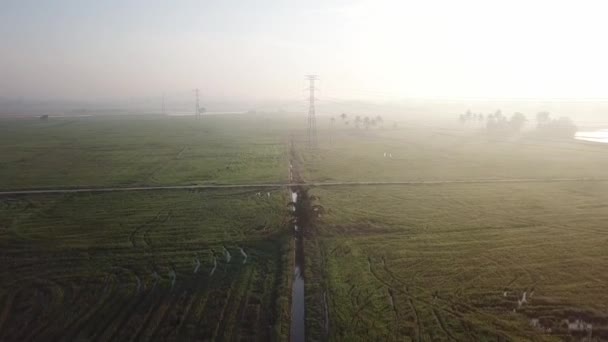 Voo aéreo em direção a motociclista na pequena estrada no campo de paddy — Vídeo de Stock