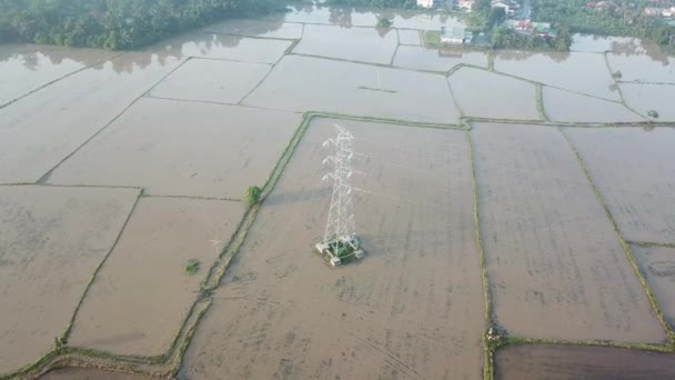 Torre elettrica orbitante aerea al campo di risaia allagata — Video Stock