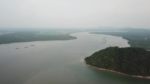 Légi felderítés a Merbok folyónál, Kedah. Fehér madarak hazafelé.. — Stock videók