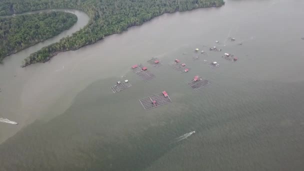 Εναέρια πάνω προς τα κάτω θέα βάρκα κινούνται γύρω από το αγρόκτημα ψαριών στο Sungai Merbok River. — Αρχείο Βίντεο